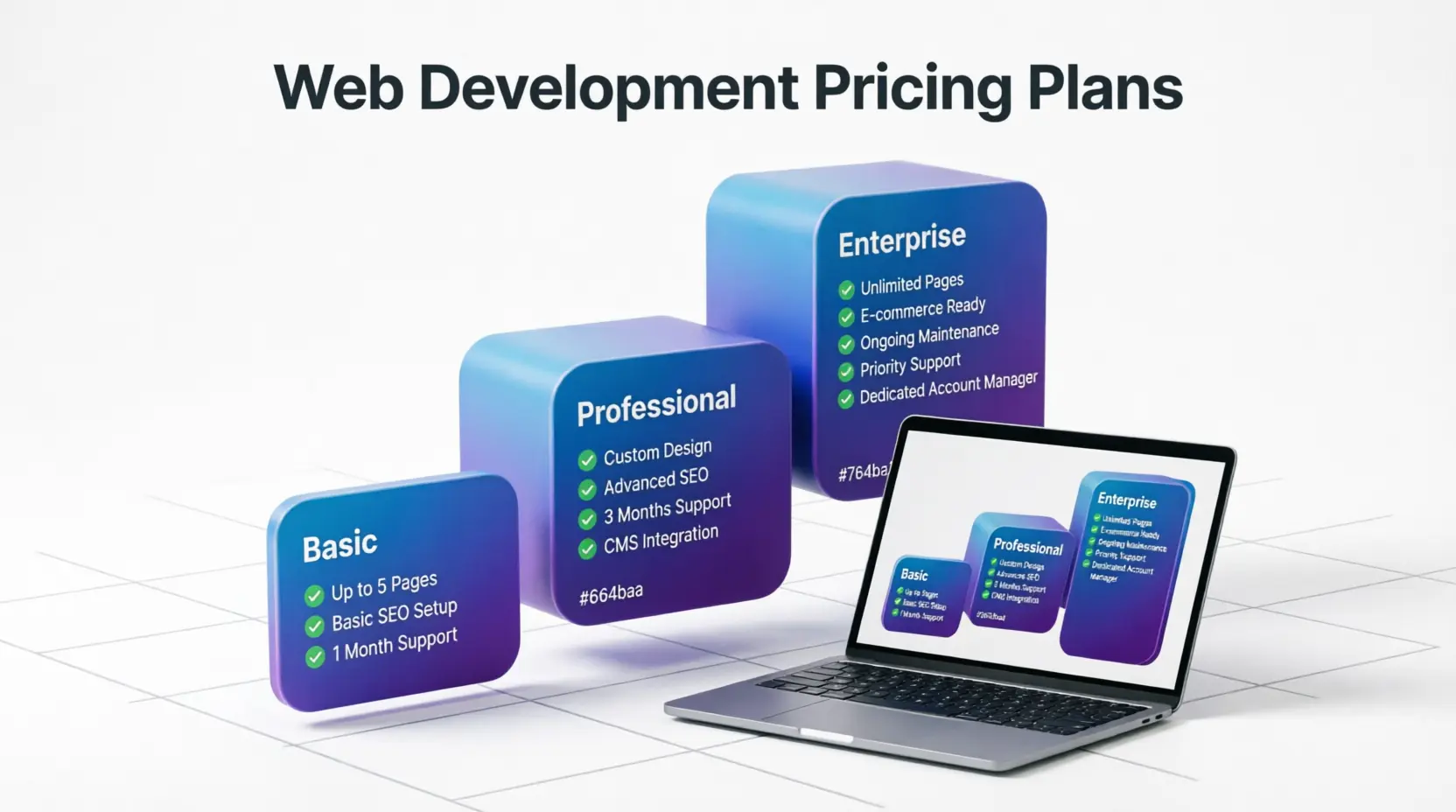 Como elegir plan desarrollo web
